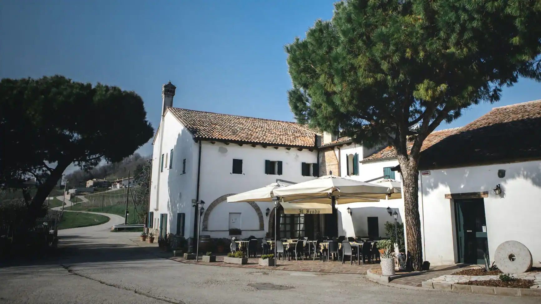 The white farmhouse of Agriturismo Il Feudo with its terrace and maritime pines, in the Euganean Hills