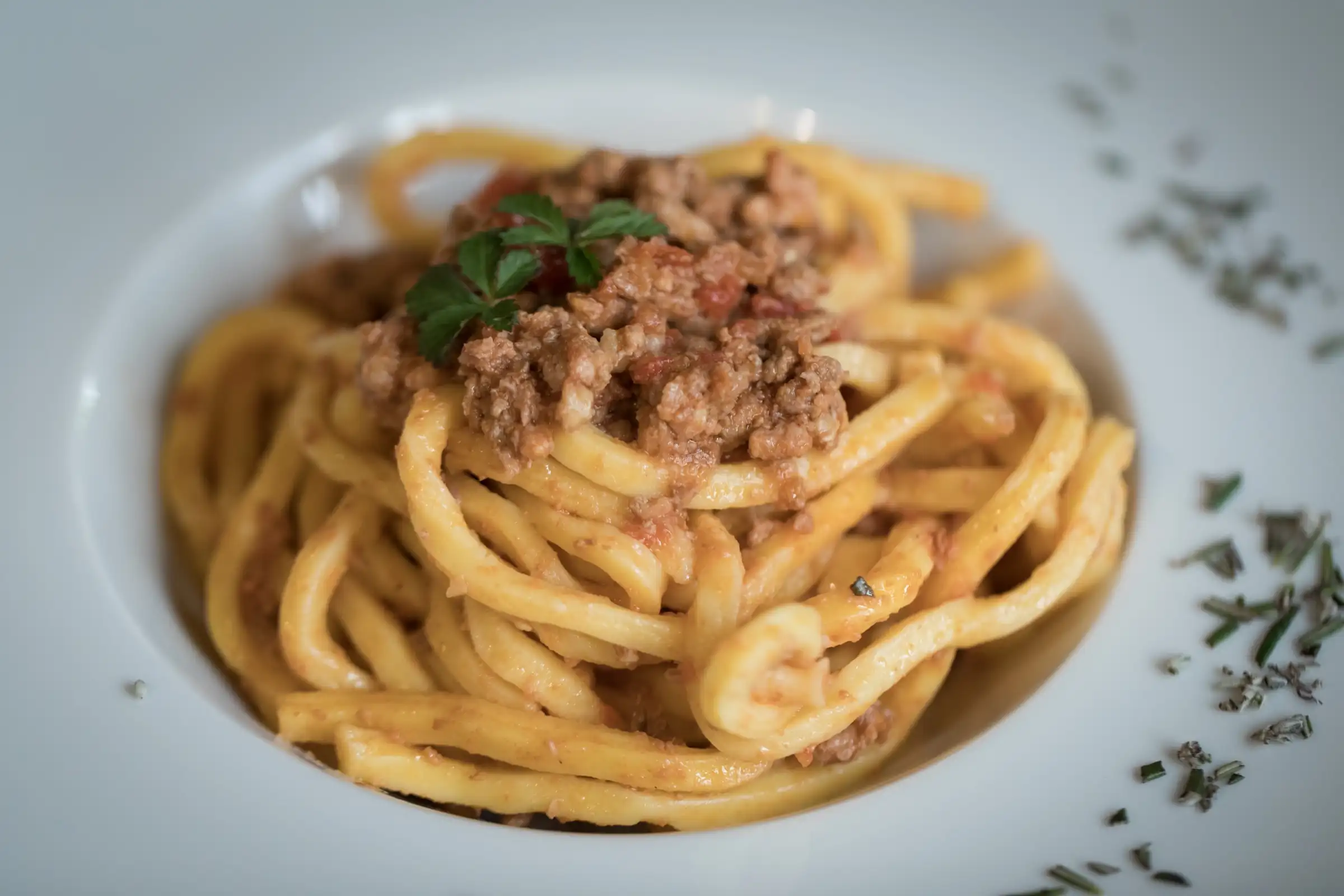 Bigoli pasta with ragù served in a white dish with fresh herbs