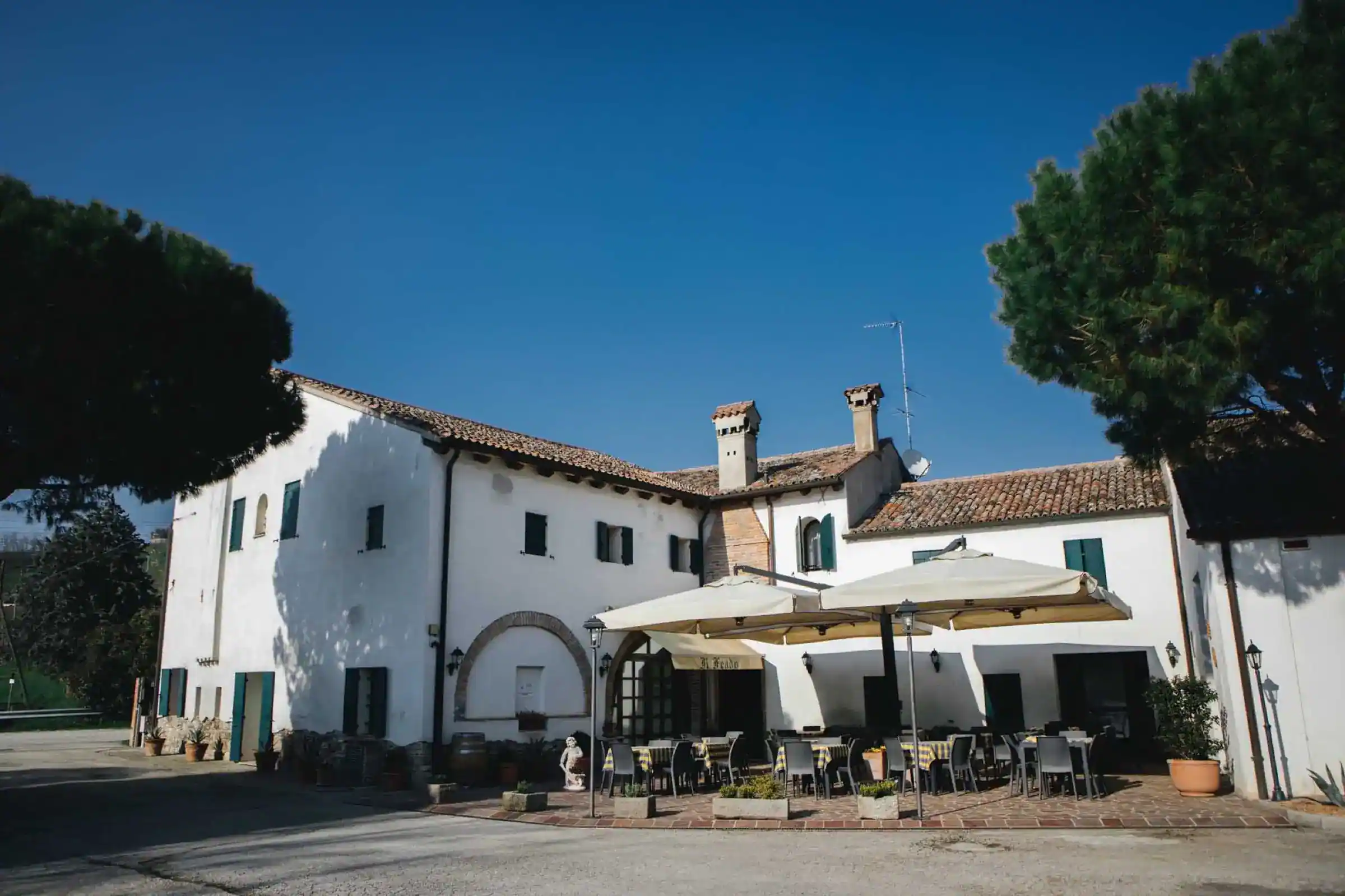 The farmhouse courtyard with maritime pines under a clear sky