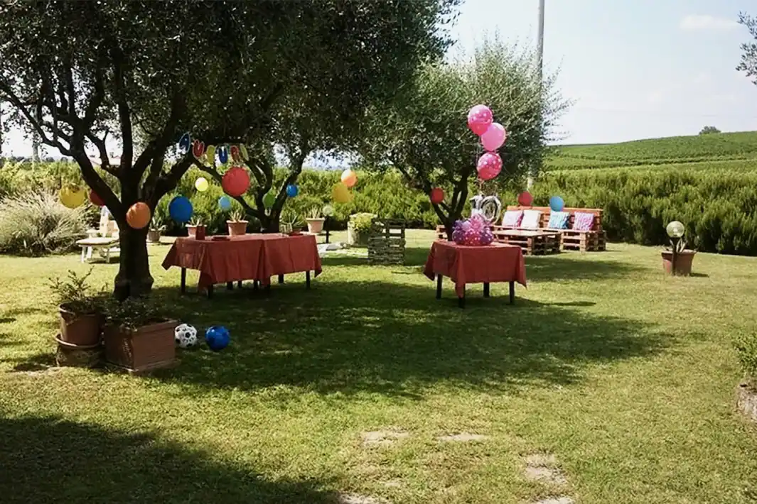 Festa in giardino sotto gli ulivi, con tavoli, palloncini e il vigneto sullo sfondo