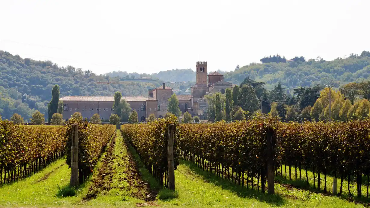 L'abbazia di Praglia vista dai filari di un vigneto in autunno