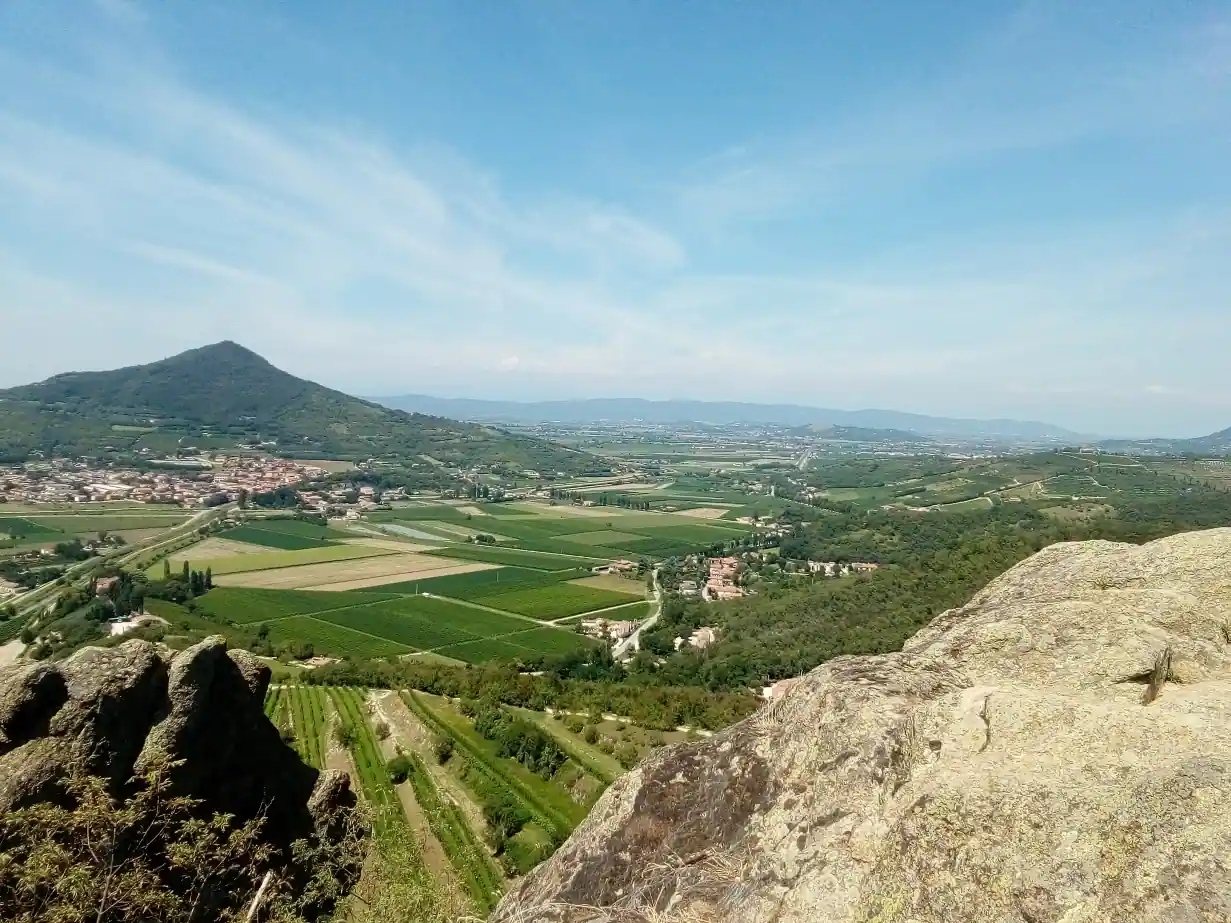 Panorama dei Colli Euganei dal Monte Cinto: colli vulcanici, vigneti e la pianura veneta